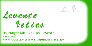 levente velics business card